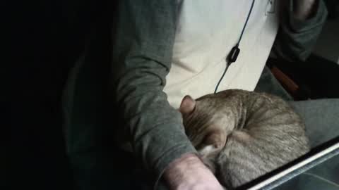 Snapshot of sexyenigmatic chatting on April 14, 2026, 11:55 pm sexyenigmatic online show from April 14, 2026, 11:55 pm