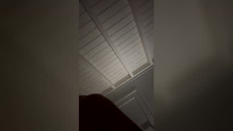 Snapshot of sexyfunpartners chatting on March 29, 2026, 5:35 pm sexyfunpartners online show from March 29, 2026, 5:35 pm