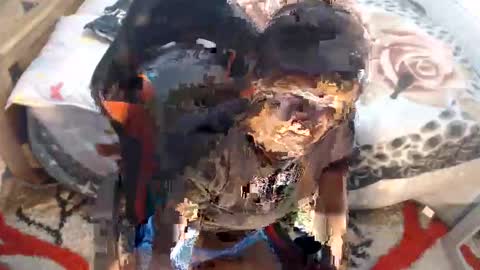 sexyjustin202 online show from November 12, 2025, 2:45 am