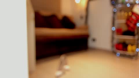Snapshot of sexykata_s chatting on December 29, 2024, 6:03 am katalina larson online show from December 29, 2024, 6:03 am