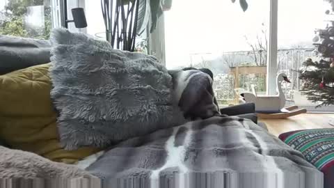 sexylover81ch online show from December 21, 2025, 11:28 am