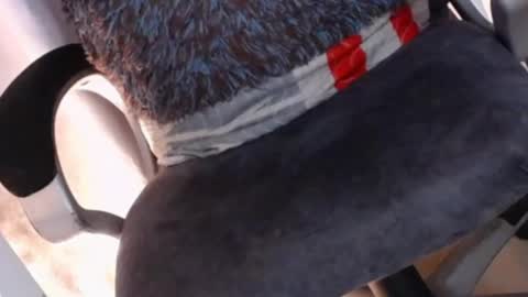    online show from February 7, 2025, 5:10 am