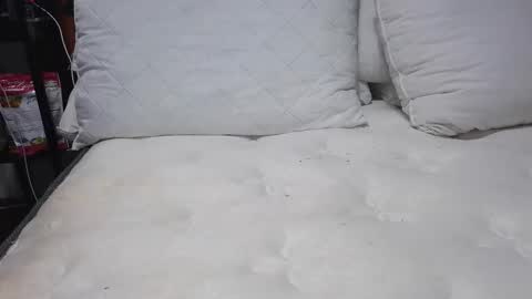 sexystephanie04 online show from April 13, 2026, 10:26 pm