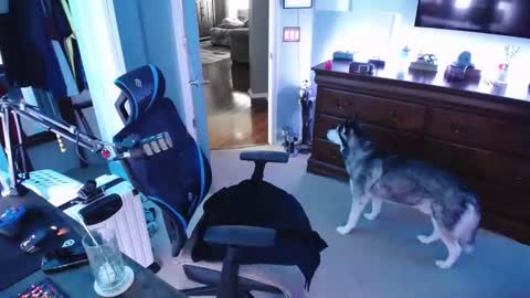 shaftyone4u online show from January 16, 2025, 9:40 pm