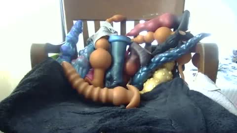 shakespeareisahomie online show from November 16, 2025, 3:06 pm