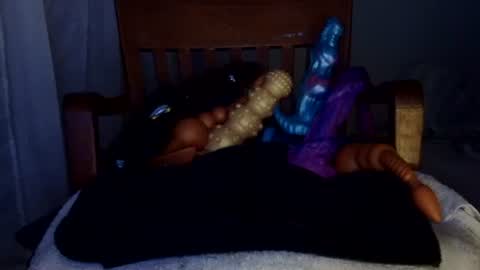 shakespeareisahomie online show from February 19, 2026, 2:40 am