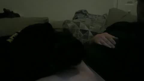 sharedhus online show from January 13, 2025, 6:16 am