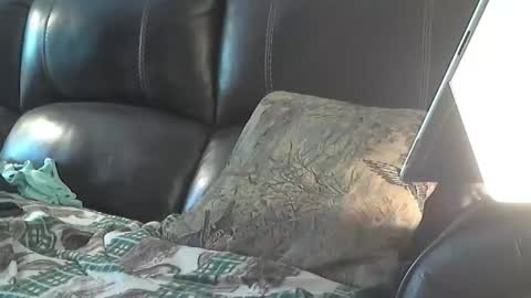 Sharkey644 online show from March 26, 2026, 3:28 pm