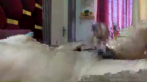 shashank2428 online show from January 30, 2025, 9:57 am