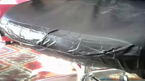 Snapshot of shavedassballs chatting on October 31, 2025, 3:13 pm shavedassballs online show from October 31, 2025, 3:13 pm