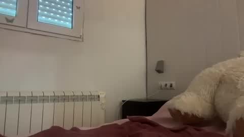 shekitty online show from June 7, 2026, 5:44 am