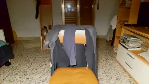 shinikari online show from December 1, 2024, 4:40 pm