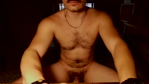 shinikari online show from September 13, 2025, 1:00 pm