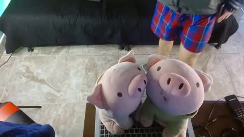 Snapshot of shinobi_grey chatting on January 24, 2025, 3:55 pm .. shinobi .. online show from January 24, 2025, 3:55 pm