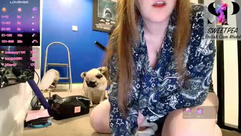 short sweetpea online show from January 15, 2026, 10:20 am