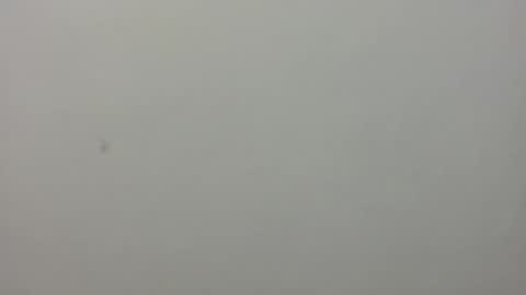 show_on_for_you online show from March 24, 2026, 9:09 pm