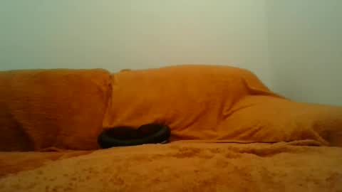 Snapshot of showherenow chatting on March 8, 2026, 8:18 am showherenow online show from March 8, 2026, 8:18 am