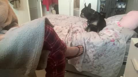 shyboy0533 online show from November 3, 2025, 10:49 am