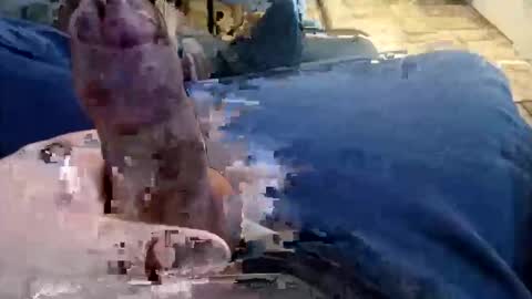 shynessy online show from December 15, 2025, 1:10 am