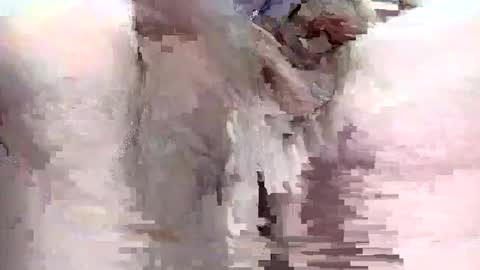 sigmaelixer online show from September 29, 2025, 9:08 pm