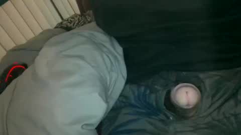 silentstiffler online show from November 30, 2025, 4:27 am