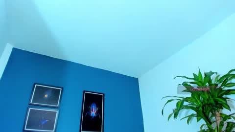 silvabranko online show from November 9, 2025, 1:04 am