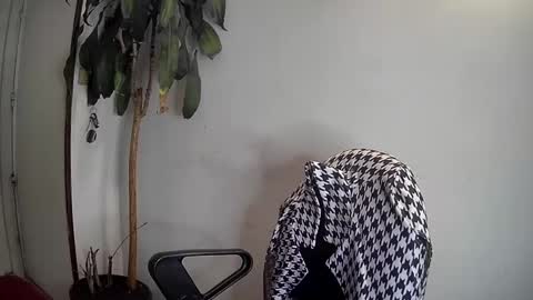 Snapshot of silviecollins chatting on January 7, 2025, 3:46 am Silvie online show from January 7, 2025, 3:46 am