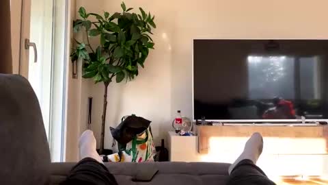 sincarro online show from November 19, 2025, 11:21 am