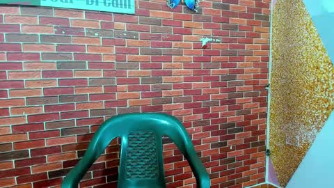 Snapshot of sirryant chatting on February 27, 2025, 12:34 pm SIR RYANT online show from February 27, 2025, 12:34 pm