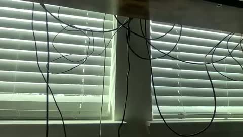 Snapshot of sissyblkgoddess858860 chatting on February 19, 2026, 8:16 pm Sissyblkgoddess online show from February 19, 2026, 8:16 pm