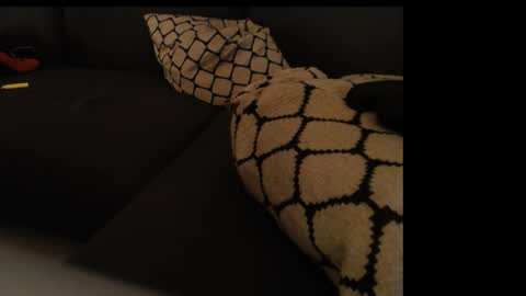 sissygirlalexandra online show from January 26, 2025, 1:31 am