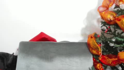 Skarleth online show from December 6, 2024, 12:16 pm