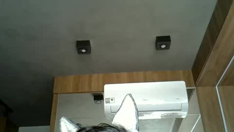 skinnykittencam online show from September 21, 2025, 5:14 pm