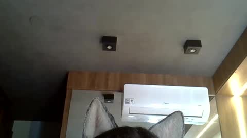 skinnykittencam online show from October 24, 2025, 6:59 pm