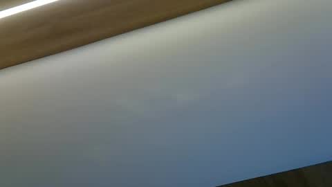 skinnykittencam online show from October 29, 2025, 8:54 pm