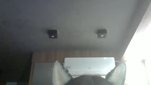 skinnykittencam online show from March 14, 2026, 9:26 am