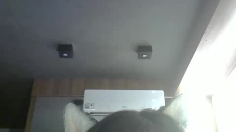 skinnykittencam online show from March 24, 2026, 5:51 pm