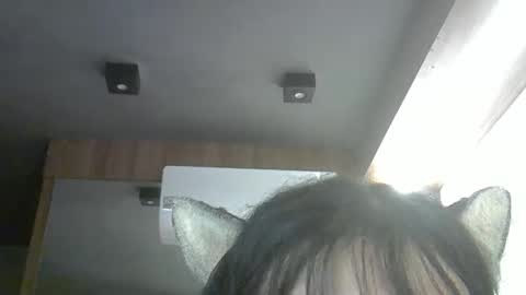 skinnykittencam online show from April 14, 2026, 3:01 am