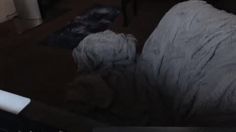 SKYLE   online show from December 19, 2024, 5:07 am