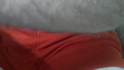 ResqPylot2 online show from September 17, 2025, 2:19 pm