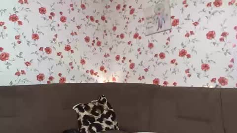 Sky online show from December 10, 2024, 1:00 pm