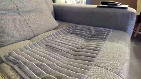 slaterboyyy online show from November 6, 2025, 1:06 am