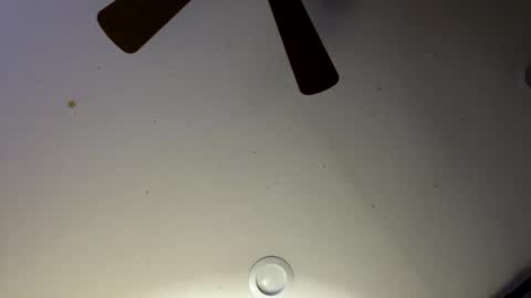 Snapshot of slickdog1969 chatting on January 30, 2025, 6:03 am Slickdog online show from January 30, 2025, 6:03 am