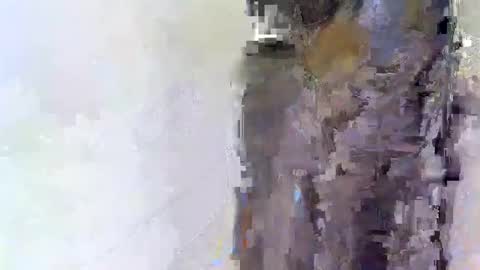 slim_me online show from April 15, 2026, 8:54 am