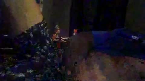 slimeguy315 online show from September 20, 2025, 3:40 am