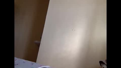 Skillibengisaadboy online show from June 4, 2026, 5:02 am