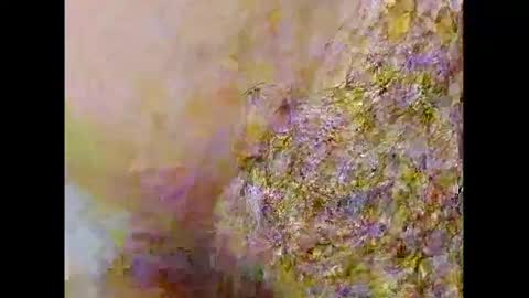 Small Hairy Uncut online show from February 26, 2025, 10:09 pm