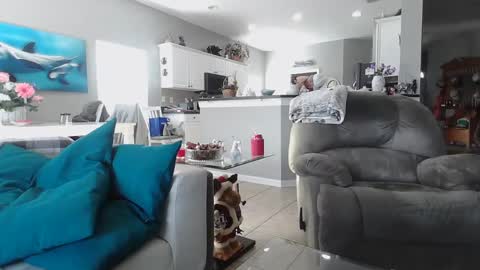 Daddy online show from December 15, 2024, 7:31 pm