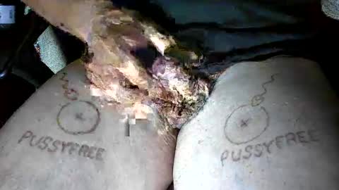 pussyfree4eva online show from June 6, 2026, 3:00 am