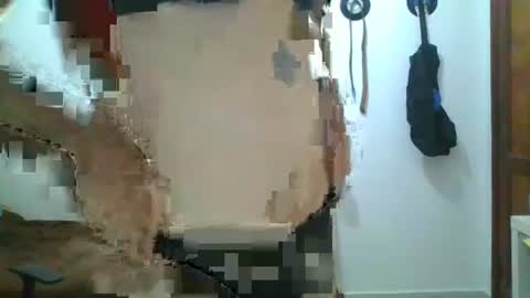 willy online show from September 12, 2025, 9:04 pm